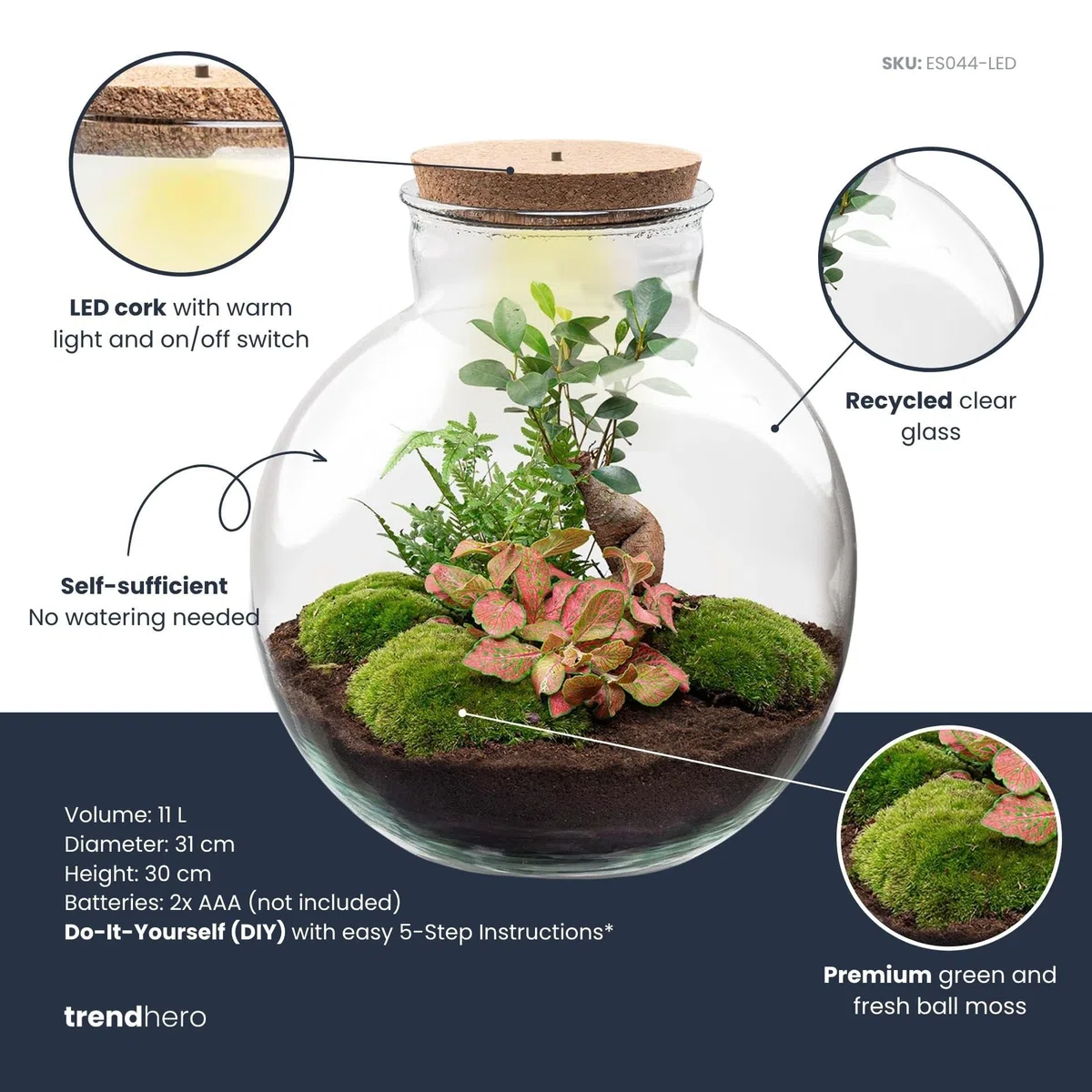 urbanjngl - Bolder Bob Bonsai Terrarium mit Licht - DIY Kit für Pflanzen - Ø 31 cm, Höhe 30 cm - Selbstregulierendes Ökosystem für Zuhause