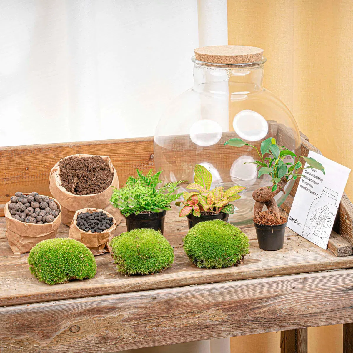 urbanjngl - Bolder Bob Bonsai Terrarium mit Licht - DIY Kit für Pflanzen - Ø 31 cm, Höhe 30 cm - Selbstregulierendes Ökosystem für Zuhause